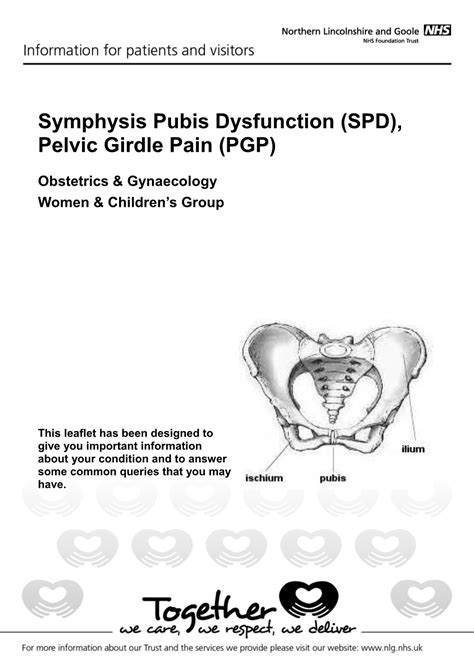 Symphysis Pubis Dysfunction SPD Pelvic Girdle Pain PGP DocsLib