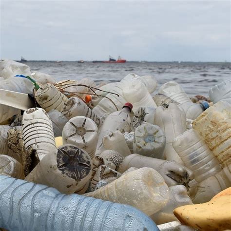 Inquinamento Da Plastica News Foto Video E Ultime Notizie Gq Italia