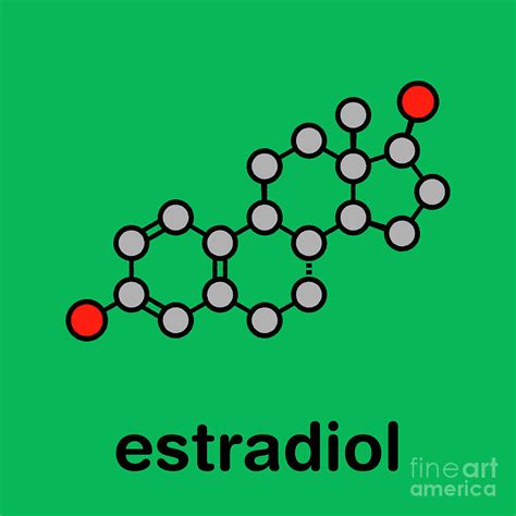 Estradiol Female Sex Hormone Molecule Photograph By Molekuul Science Photo Library Fine Art