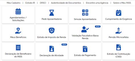 Como Solicitar O Bpc Loas Passo A Passo Todas As Regras E Quais Os