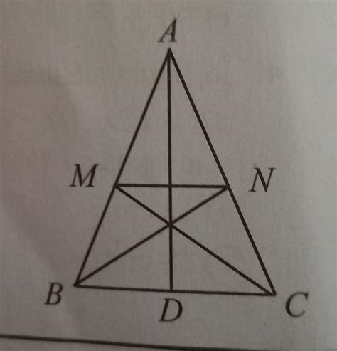 Va Roggg In Figura Al Turat Este Reprezentat Triunghiul Isoscel Abc