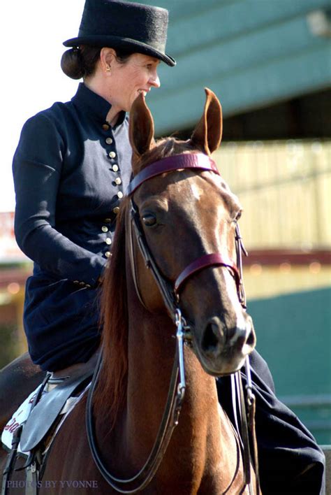 Arabian Horse Times: Sidesaddle: The Ladies Sport