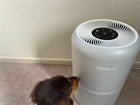 【レビュー】レボイトのペット用空気清浄機を1ヶ月使ってみた感想！「levoit Pet Core P350」 まるまる日常