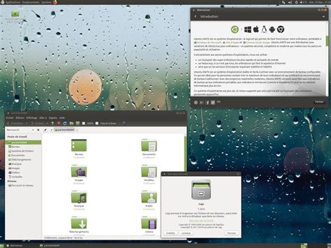 Ubuntu Mate Bionic Beaver Le Blog D Eric Granier