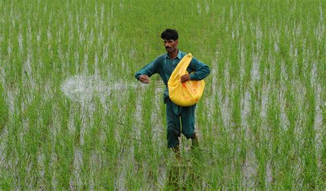 Agriculture Is In Dire Straits Says Khaled Khokhar Pakistan Today