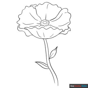 Poppy Coloring Page | Easy Drawing Guides