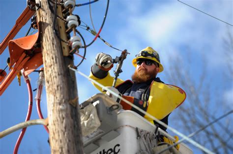 Squirrel Causes Electrical Outage in Wildwood