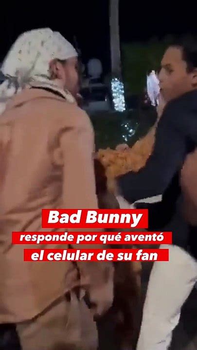 Bad Bunny Responde Al Video Donde Avienta El Celular De Su Fan V Deo