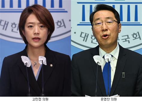 비명계 최고위원 출마 러시 친명계 “李 견제 포석” 우려 국민일보