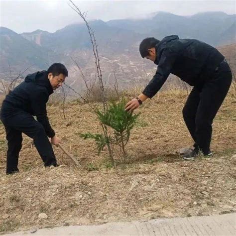 【蒿林动态】植树添新绿，不负好春光——蒿林乡积极开展义务植树活动发展理念绿色