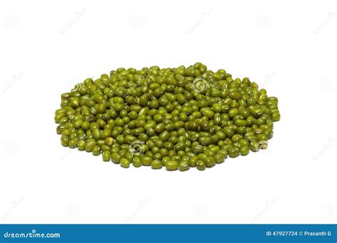 Green Gram Dal Stock Photo Image Of Gram Healthy Green 47927724