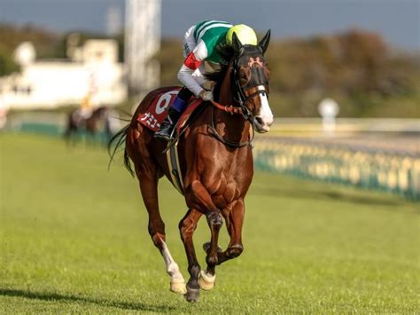 【今日の注目ポイント】春の女王決定戦・ヴィクトリアマイル 武豊騎手がjra通算4500勝に王手 競馬ニュース Netkeiba