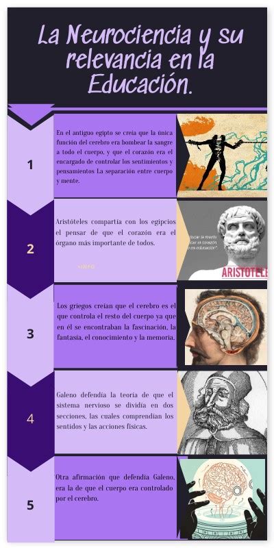 La Neurociencia Y Su Relevancia En La Educación Infografía