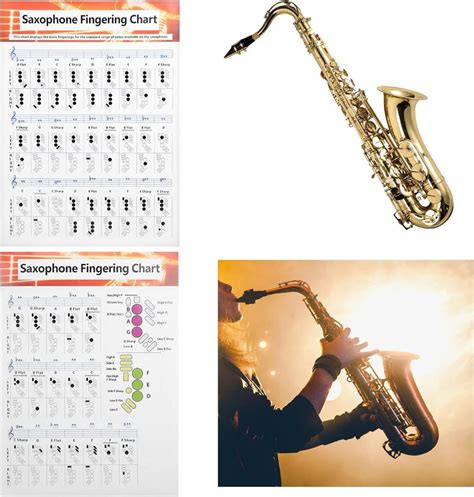 8 Best Saxophone Fingering Charts 2023 Singers Room