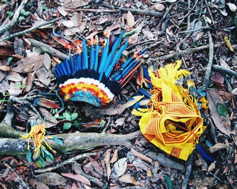 Paresi Headdress In 2024 Amerindians Indigenous Peoples South America