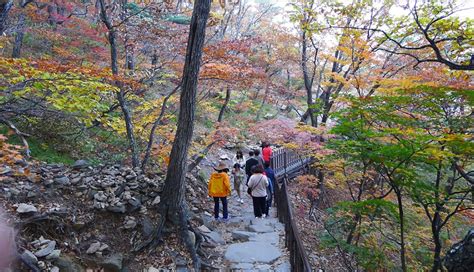 Guide To Seoraksan National Park Nearby Attractions