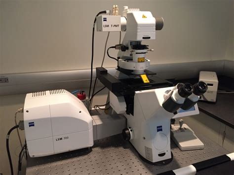 Zeiss Laser Scanning Lms 700 Confocal Microscope Advanced Light And