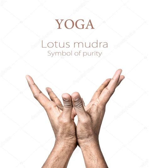 Yoga lotus mudra — Stock Photo © byheaven #8228802