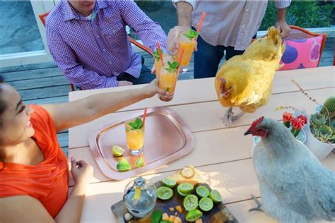 That Time I Made Garry And Deniece Drink With Chickens Drinking With