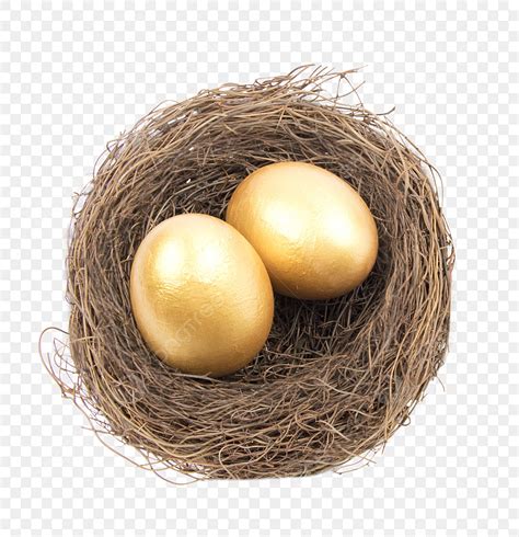 Golden Nest Egg Png Image Golden Eggs In The Nest Nest Clipart