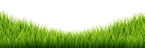 Green Grass Border Set On White Background Vector Illustration 25786897 Vector Art At Vecteezy