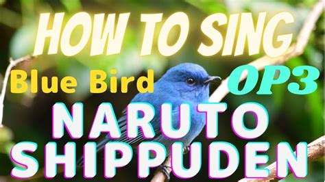 Lets Sing Naruto Shippuden Op3 Blue Bird Japanese Romaji Anime