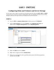 Cnet Lab With Answers Pdf Lab Cnet Configuring Disks And