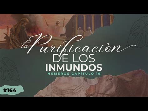 Números Capítulo 19 Conociendo La Palabra De Dios 164 YouTube