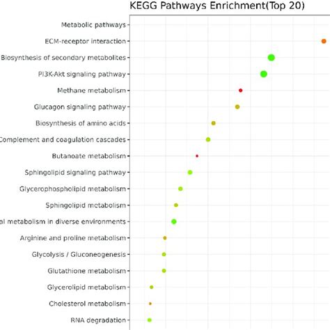 Differential Gene Go Enrichment Map Differential Gene Go Enrichment