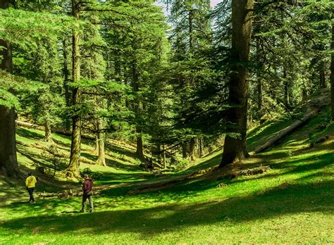 Pathankot Khajjiar Dalhousie Tour Package For Days Nights