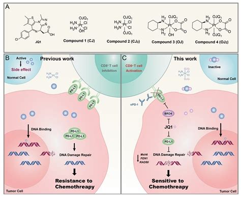 新型铂iv前药提高化疗 免疫治疗同时抑制dna损伤修复 X Mol资讯