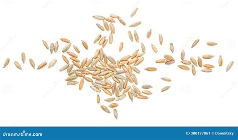 Pile Of Rye Grains Isolated On White Background Top View Stock Image