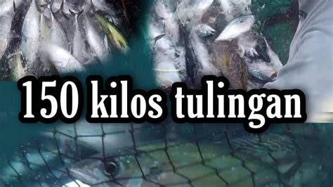 150 Kilos Tulingan Biniyayaan Na Naman Kami Ng Dagat Ang Lalaking