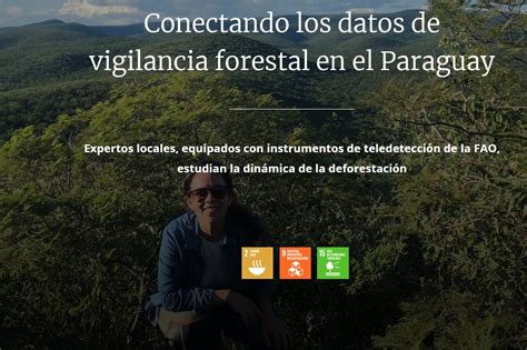 Fao Paraguay On Twitter Conectando Los Datos De Vigilancia Forestal