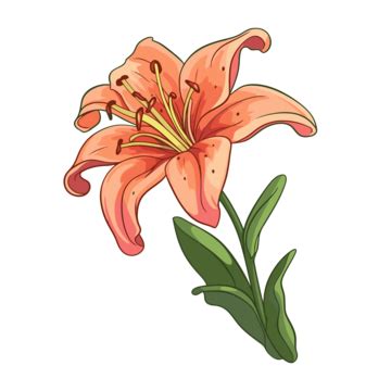 Lily Clipart Linda Flor De Lirio Naranja Sobre Un Fondo Blanco Dibujos