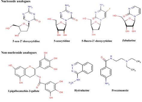 3 Different nucleoside analogue and non-nucleoside analogue DNMT ...