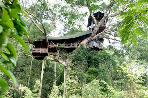 Explore Bokeo Nature Reserve — A Hidden Paradise Of Laos Living