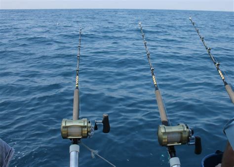 La Pesca Del Tonno Il Giornale Del Mare