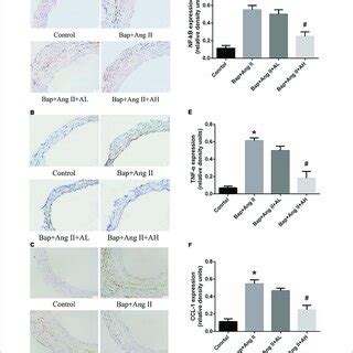 AS IV inhibits nuclear factor κB NF κB activation and Download