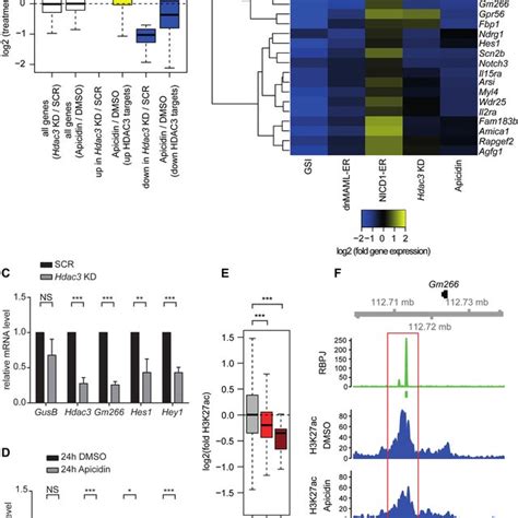 Hdac Is A Positive Regulator Of The Notch Dependent Gene Expression