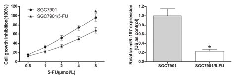 A Cell Growth Inhibition Rate Of SGC7901 And SGC7901 5 FU Cells B