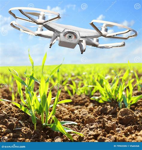 Drone Flying Over Field Stock Photo Image Of Flying 79965586