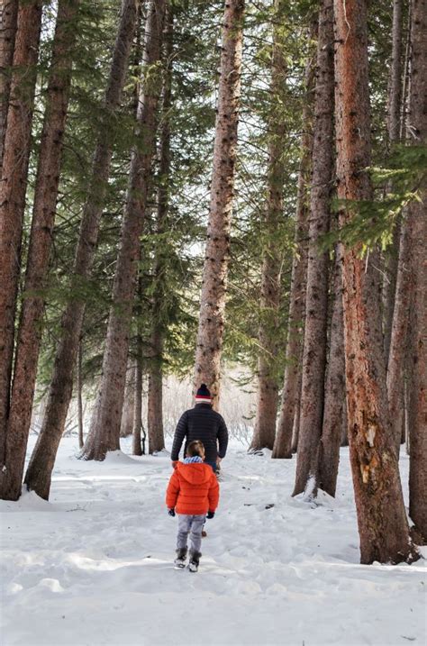 Free Images Man Tree Nature Forest Outdoor Wilderness Walking