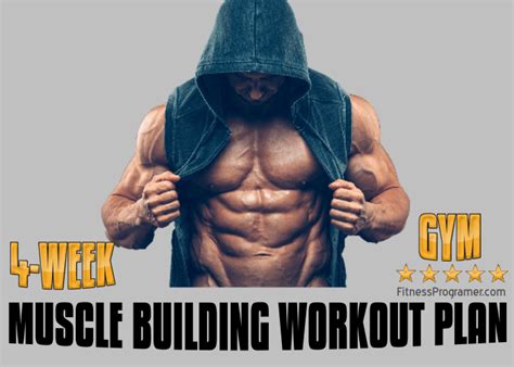 4 Week Muscle Building Workout Plan