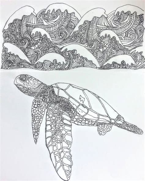 Realistic Turtle Drawing at PaintingValley.com | Explore collection of ...