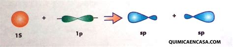 Hibridaci N Sp Qu Mica En Casa