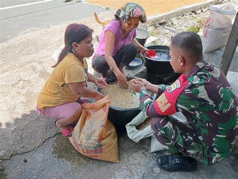 Babinsa Bantu Petani Pisahkan Padi Gabah Dengan Cara Tradisional