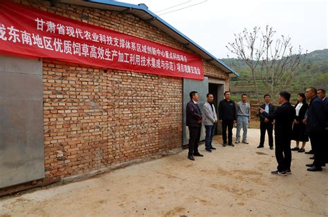 “陇东南地区优质饲草高效生产加工利用技术集成与示范”项目启动暨推动会在清水县召开图 天水在线