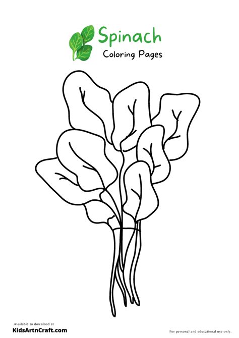 Spinach Coloring