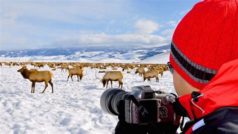 Tips And Favorite Locations For Photographing Jackson Hole In Winter